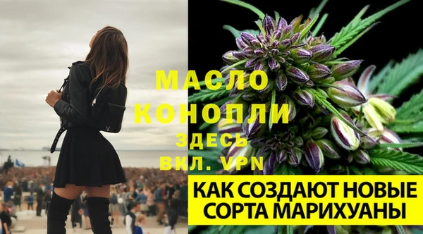 марихуана Абаза