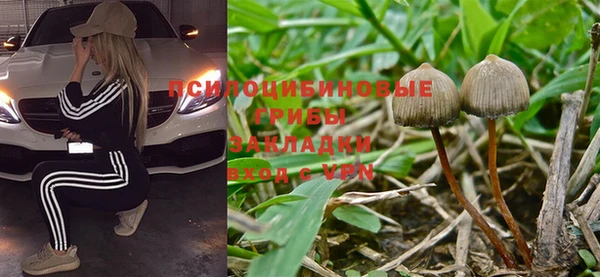 винт Абинск