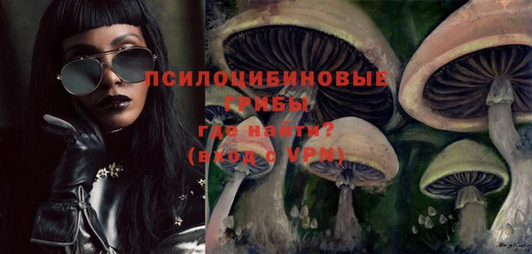 марихуана Абаза